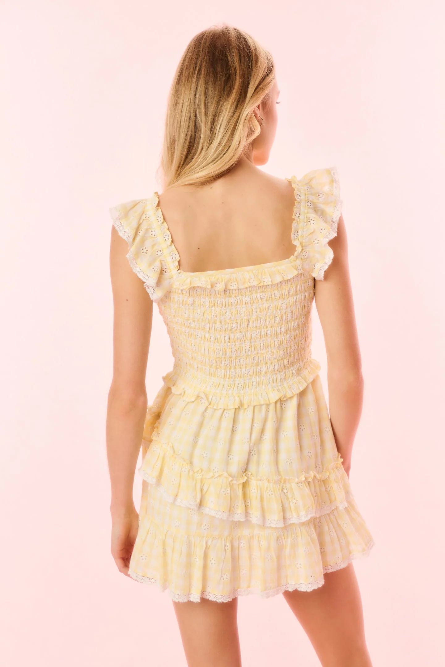 Aline Gingham Eyelet Mini Dress - Image 9